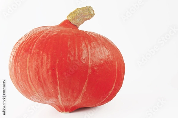 Fototapeta Hokkaidokürbis