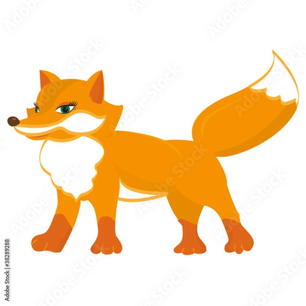Obraz Cute red fox