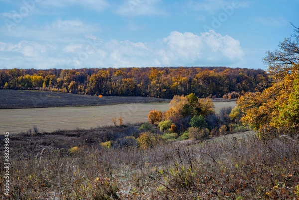 Obraz autumn landscape in the mountains