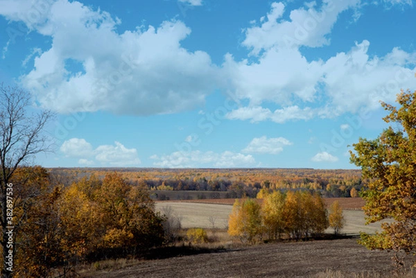 Obraz autumn landscape with trees