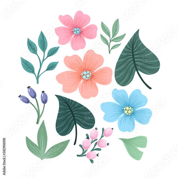Fototapeta Botanical  illustration of floral elements.