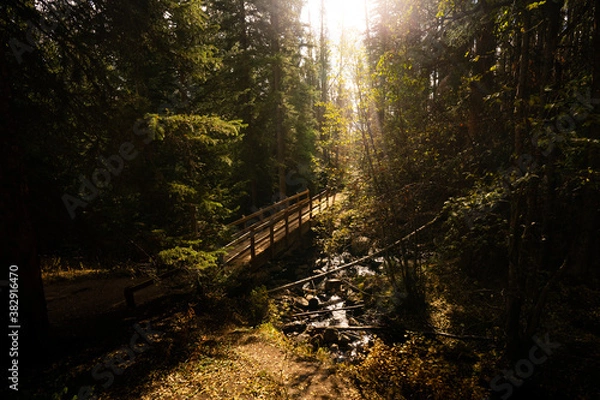 Obraz Beautiful Hiking Trail Bridge Stream Crossing in Forest with Light Flare from Sunset with Trees in Nature during Fall Autumn Season