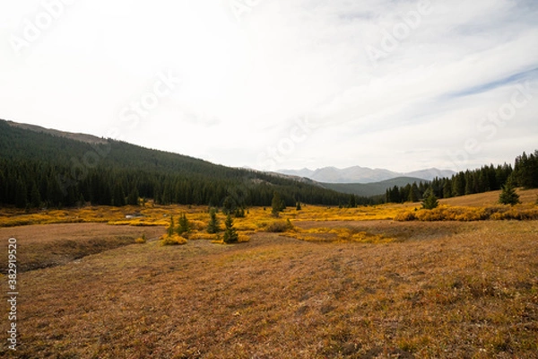 Obraz Mountain Lake during Fall Autumn Season surrounded by Yellow Changing Leaves Shrubs and Forest in Alpine Pass with Mountain Range and Clouds