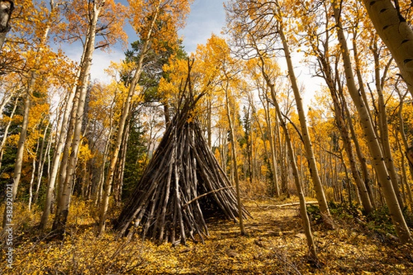 Obraz Teepee in Woods Hiking on Trail with Yellow Aspen Trees In Colorado During Fall Autumn Season on Bright Sunny Day with Beautiful Blue Sky
