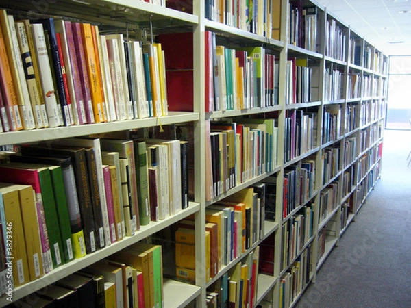 Obraz bibliothèque 