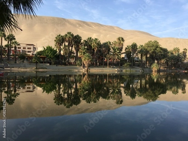 Obraz oasis in the desert