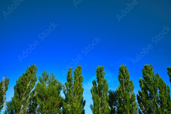 Fototapeta 大空にそびえる