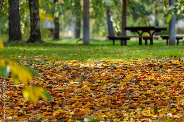 Obraz 日本の秋の風景