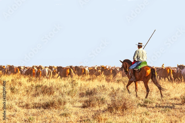 Obraz Yeguada en el coto doñana 