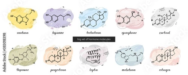 Obraz Big set with molecules of the hormones serotonin, dopamine, testosterone, endorphin, cortisol, thyroxine, progesterone, leptin, melatonin, and estrogen on an abstract background. Vector illustration.