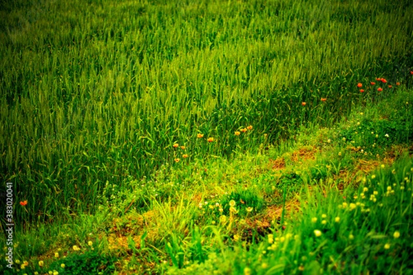 Obraz 大自然の空間でのひと時です