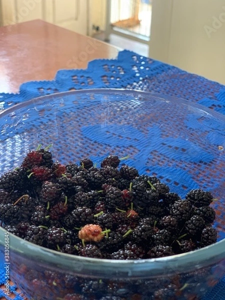 Obraz blueberries in a bowl