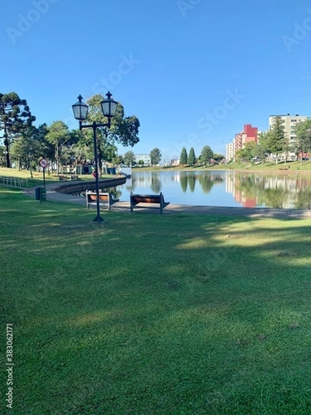 Obraz park in the garden