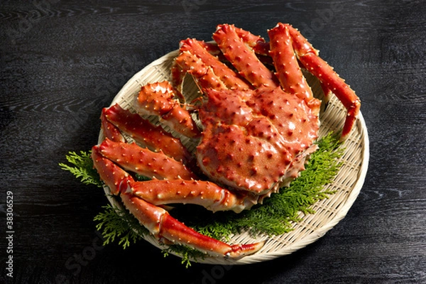 Obraz タラバガニ