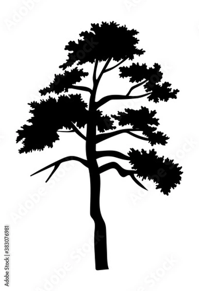 Fototapeta Cartoon illustration of black tree isolated at white background. Tree with crown. Nature concept. Vector emblem. Landscape interface, icon tree of wood. Flat style of organic plant