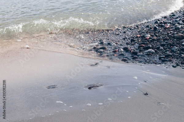 Obraz footprints on the beach