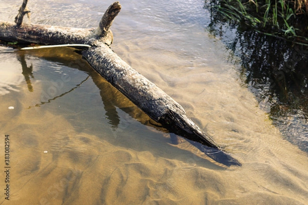 Obraz sand and water