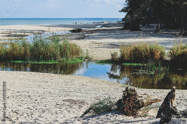 Obraz Beach landscape