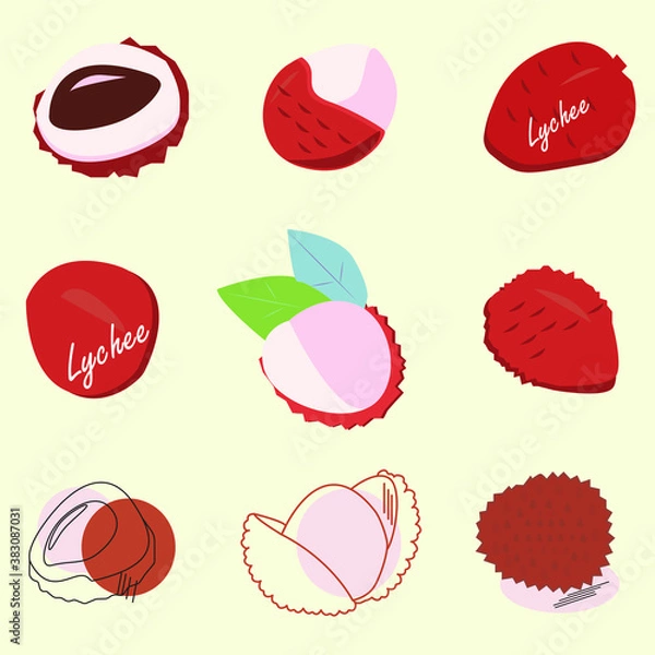 Obraz Set of lychee fruit vector designed for various banners and websites,menus.