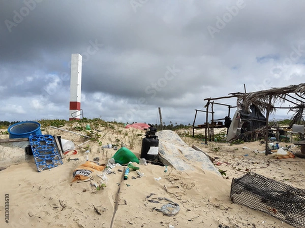 Obraz Spring time in northeast Brazil 