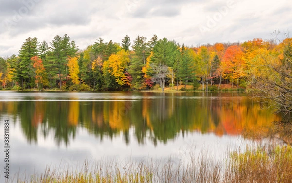 Obraz Autumn scenes under sunny day	