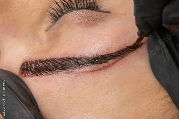 Obraz Adding pigment to eyebrows microblading