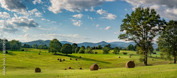 Fototapeta Hay bales in pasture on horse farm in shadow of the Blue Ridge Mountains in central Virginia near Charlottesville.