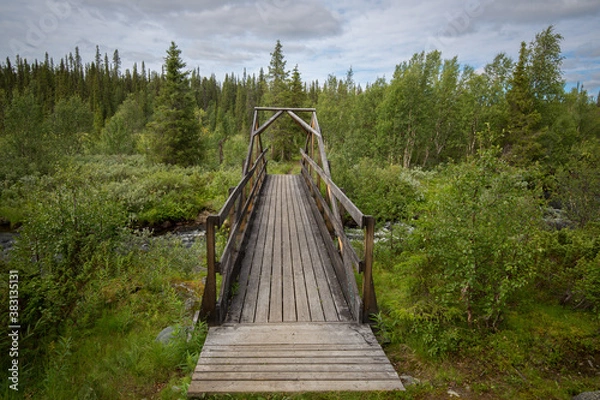 Obraz wooden bridge in the forest
