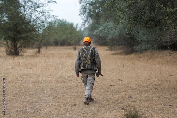 Fototapeta Duck hunter with shotgun walking through a meadow. .Rear view of a man with a weapon in his hands.