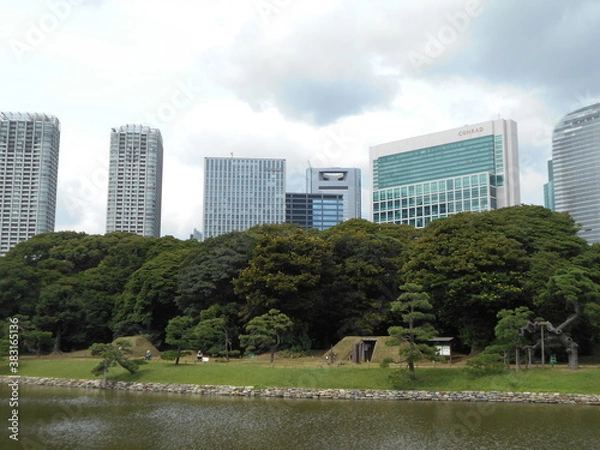 Fototapeta 秋の日本庭園（東京）
