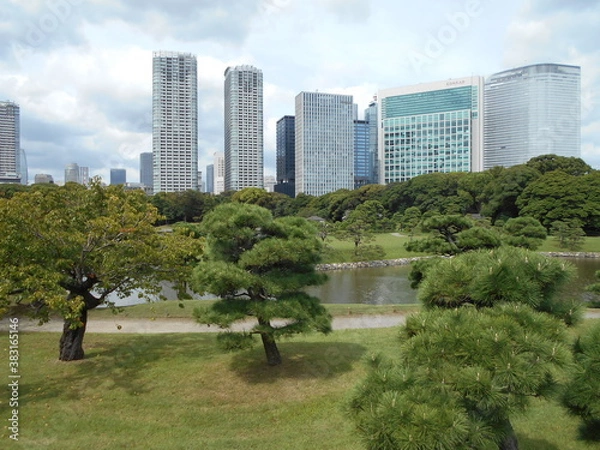 Fototapeta 秋の日本庭園（東京）
