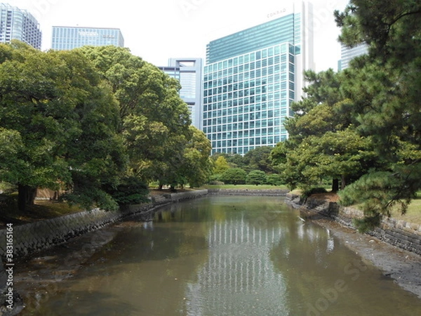 Fototapeta 秋の日本庭園（東京）
