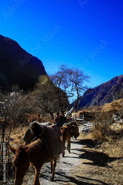 Fototapeta Beautiful view of Kyanjin Gompa village. 