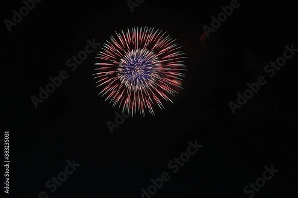 Fototapeta 変化菊

