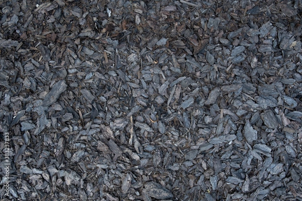 Obraz black texture wood 