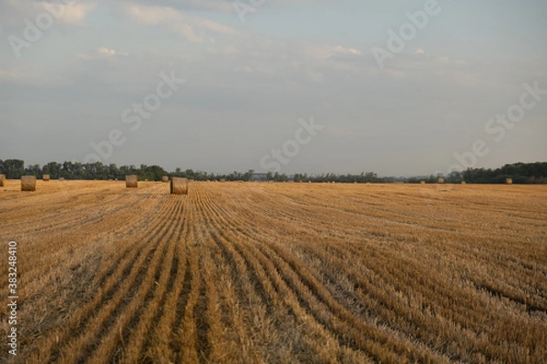 Obraz plowed field in autumn