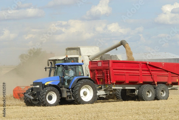 Fototapeta Moisson du blé