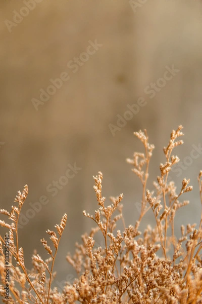 Obraz DIY & Interior décor concept of Decoration golden dried grass flower on blurred background at café restaurant or coffee shop with bright sunlight & sun rays from window wall, selective soft focus