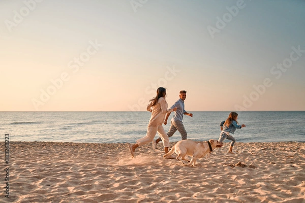 Obraz Family with dog on the beach
