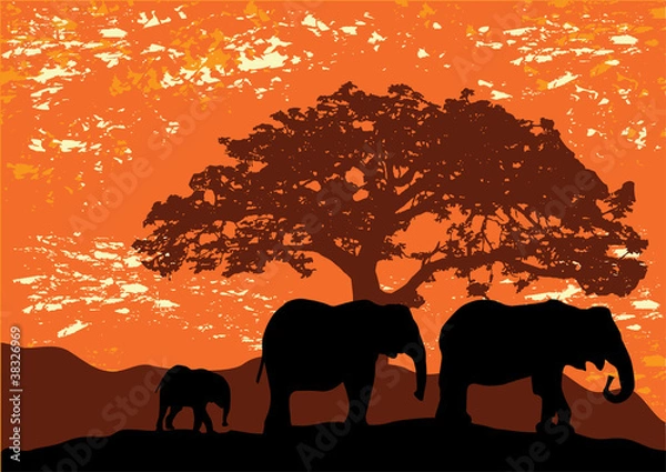 Fototapeta vector Africa