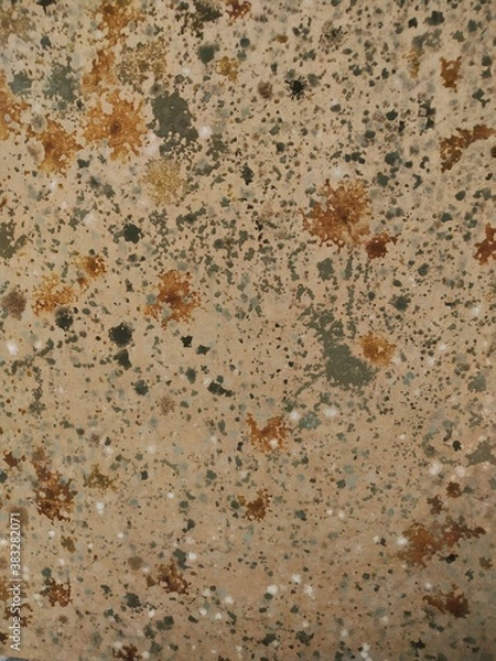 Fototapeta It is a pattern of fungi that grows on a smartboard