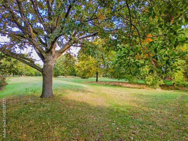 Fototapeta Herbstwiesen