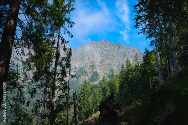 Obraz Meraner Höhenweg 2