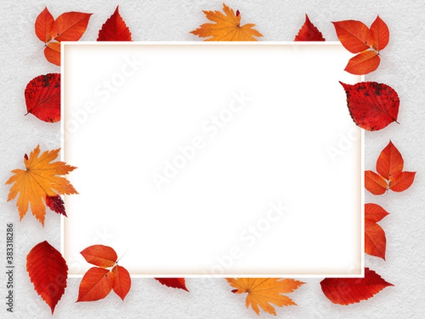 Fototapeta Autumn leaves concept. Ideal for seasonal ads on social network and projects. Falling leaves in autumn. Graphic template background.