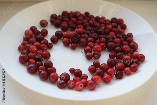 Obraz Клюква на блюдце