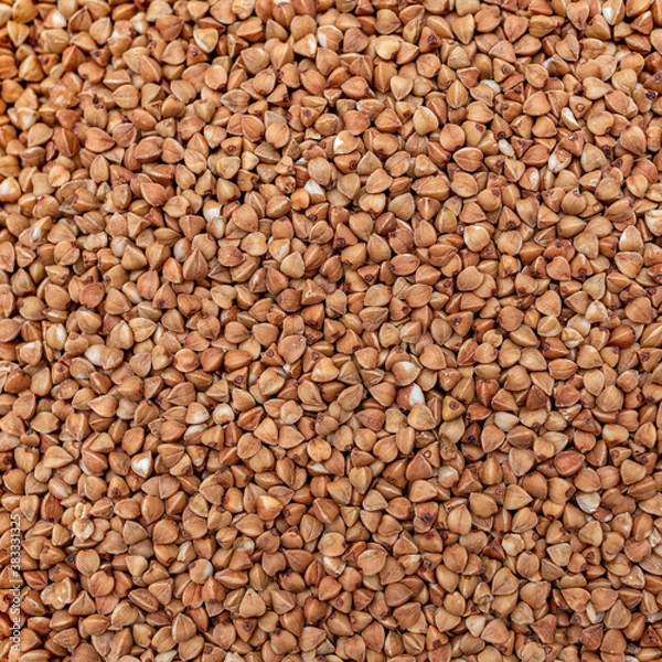Obraz Buckwheat as a background. Buckwheat close up.