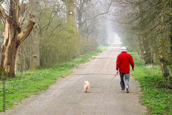 Obraz Man walking his dog on a forest path.