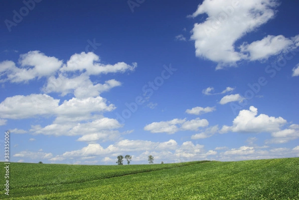 Fototapeta 小豆畑と雲