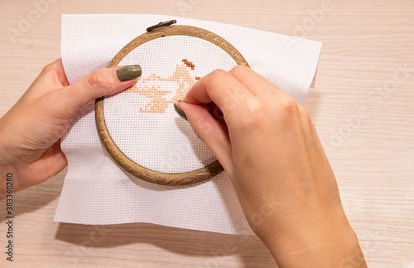 Fototapeta Women's hands hold a white canvas in a hoop with a needle and embroider with a cross