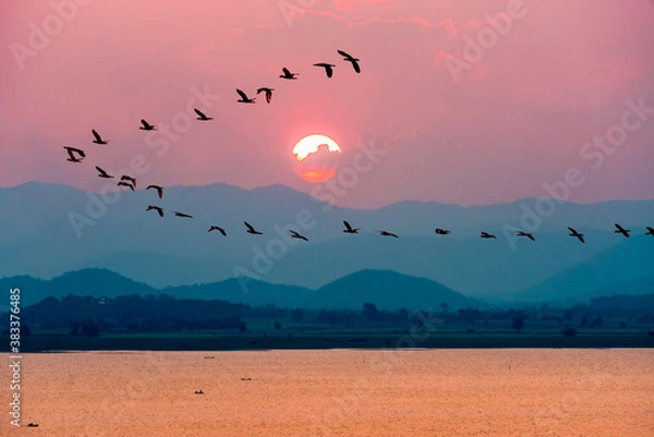 Fototapeta Beautiful nature landscape birds flock flying in a row over lake water red sun on the colorful sky during sunset over the mountains for background at Krasiao Dam, Suphan Buri in Thailand